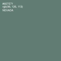 #607E71 - Nevada Color Image