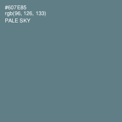 #607E85 - Pale Sky Color Image