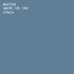 #607E95 - Lynch Color Image