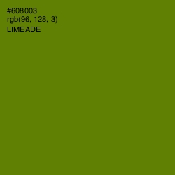 #608003 - Limeade Color Image