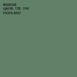 #608068 - Highland Color Image