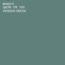 #60807C - Viridian Green Color Image