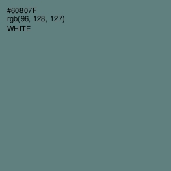 #60807F - Viridian Green Color Image