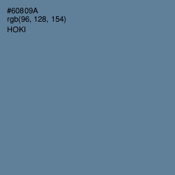 #60809A - Hoki Color Image