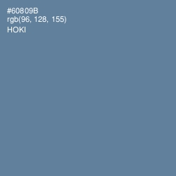 #60809B - Hoki Color Image