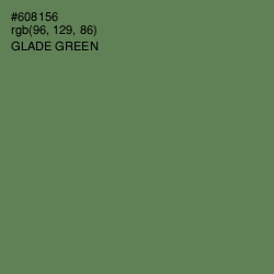 #608156 - Glade Green Color Image