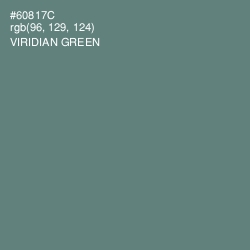 #60817C - Viridian Green Color Image