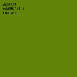 #608308 - Limeade Color Image