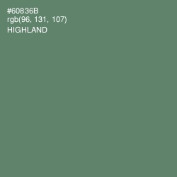 #60836B - Highland Color Image