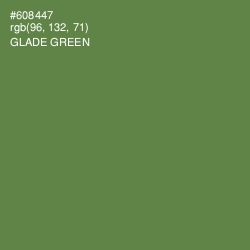 #608447 - Glade Green Color Image