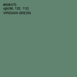 #608470 - Viridian Green Color Image