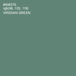 #608576 - Viridian Green Color Image