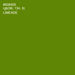 #608606 - Limeade Color Image