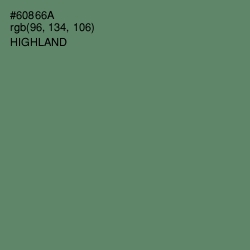 #60866A - Highland Color Image