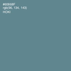#60868F - Hoki Color Image