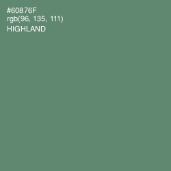 #60876F - Highland Color Image