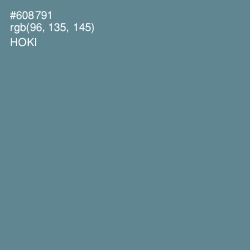 #608791 - Hoki Color Image