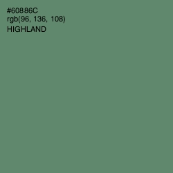 #60886C - Highland Color Image