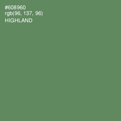 #608960 - Highland Color Image