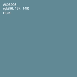 #608995 - Hoki Color Image