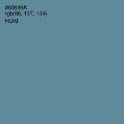 #60899A - Hoki Color Image