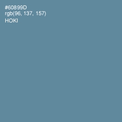 #60899D - Hoki Color Image