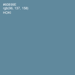 #60899E - Hoki Color Image