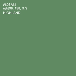 #608A61 - Highland Color Image