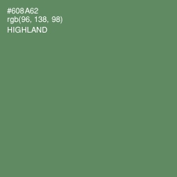 #608A62 - Highland Color Image
