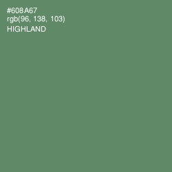 #608A67 - Highland Color Image