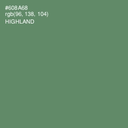 #608A68 - Highland Color Image