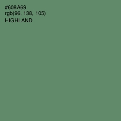 #608A69 - Highland Color Image