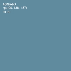 #608A9D - Hoki Color Image