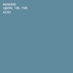 #608A9E - Hoki Color Image