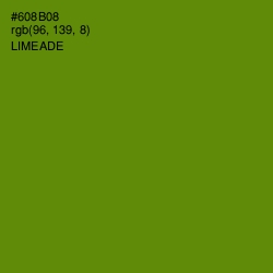 #608B08 - Limeade Color Image