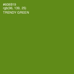#608B19 - Trendy Green Color Image