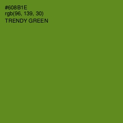 #608B1E - Trendy Green Color Image