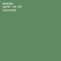 #608B60 - Highland Color Image