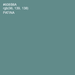 #608B8A - Patina Color Image