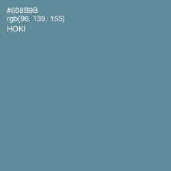 #608B9B - Hoki Color Image