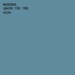 #608B9E - Hoki Color Image