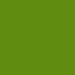 #608C0F - Limeade Color Image