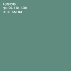 #608C80 - Blue Smoke Color Image