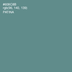 #608C8B - Patina Color Image