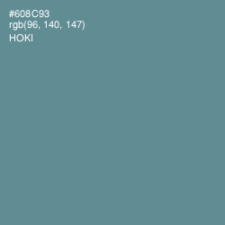 #608C93 - Hoki Color Image