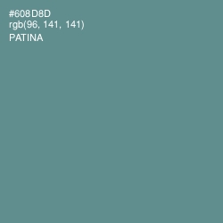 #608D8D - Patina Color Image