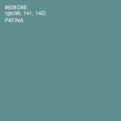 #608D8E - Patina Color Image