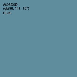 #608D9D - Hoki Color Image