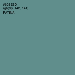 #608E8D - Patina Color Image