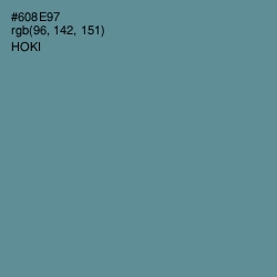 #608E97 - Hoki Color Image
